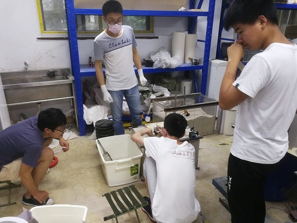 1563756369122309.jpg 2.jpg